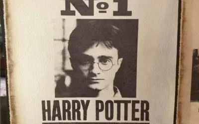 Harry Potter Wedding @ The Barn at Harburn