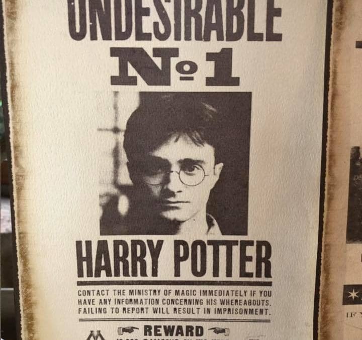 Harry Potter Wedding @ The Barn at Harburn